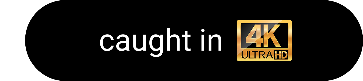Caught in 4K